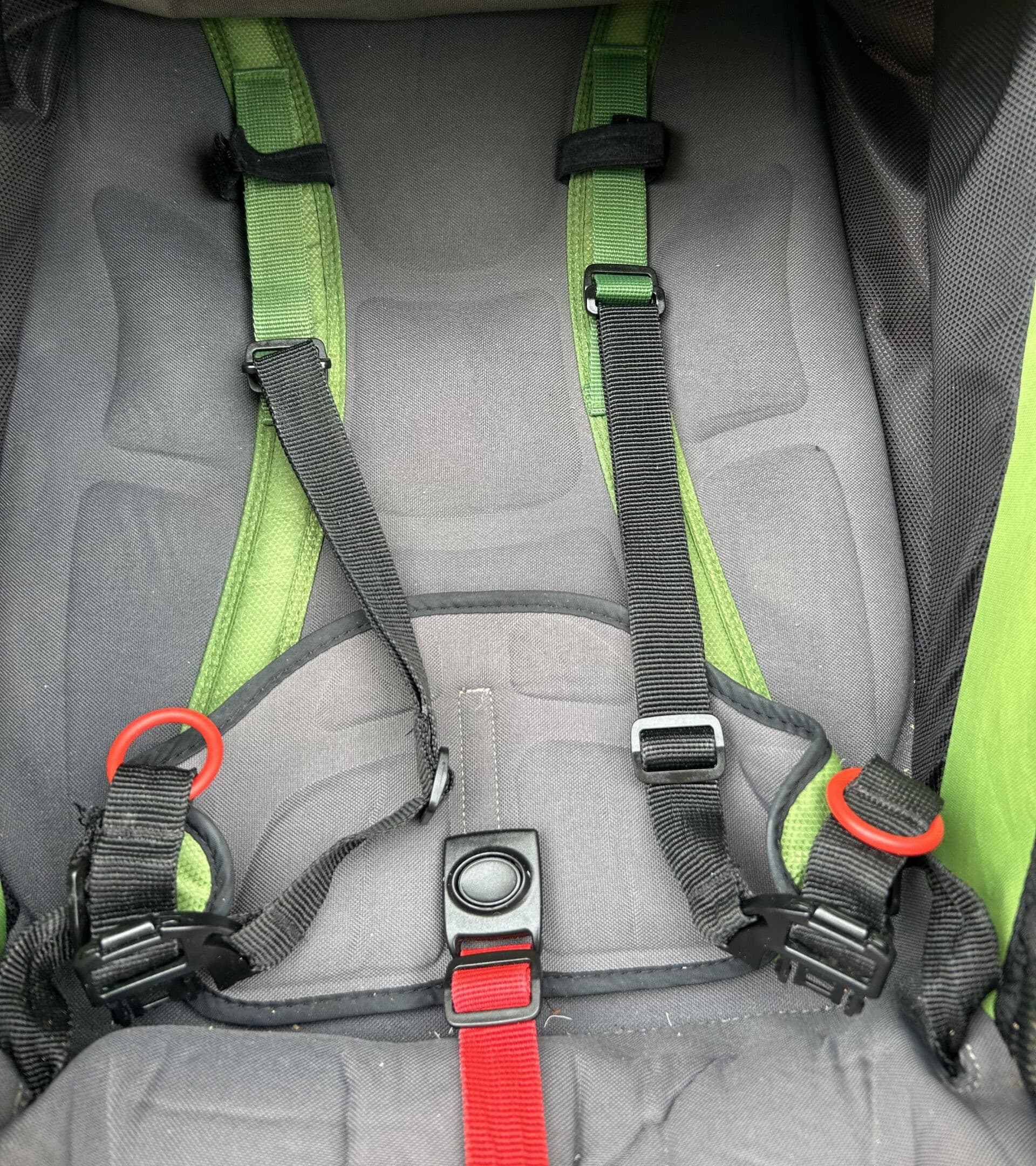 After: Stroller harness, deep cleaned